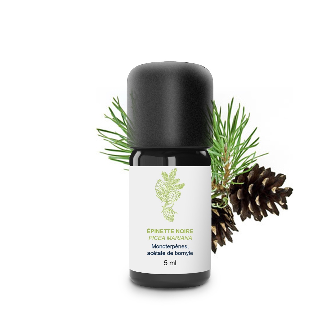 Olio essenziale di abete nero 100% biologico e artigianale