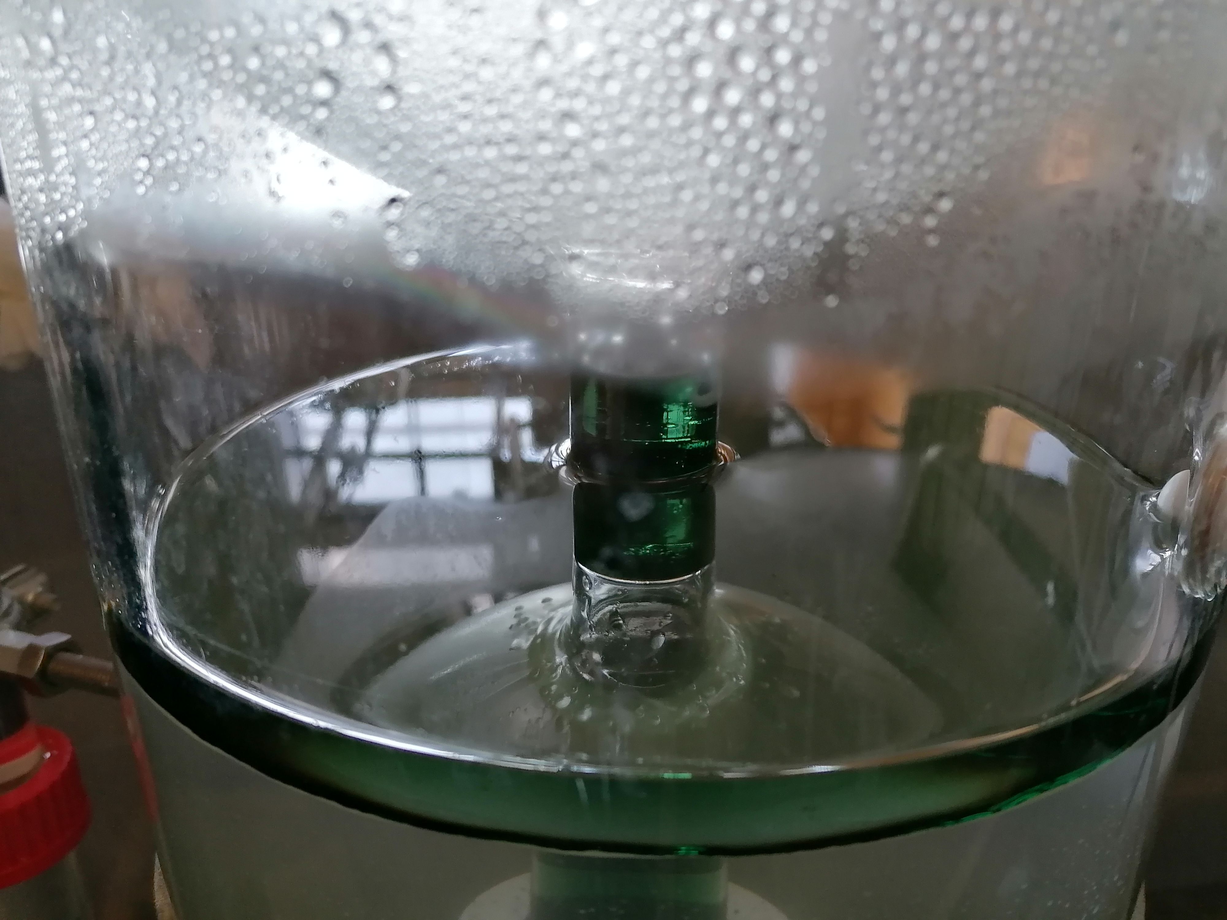Decouvrez la distillation Olio essenziale di Geranio rosa Bourbon 100% biologico e artigianale