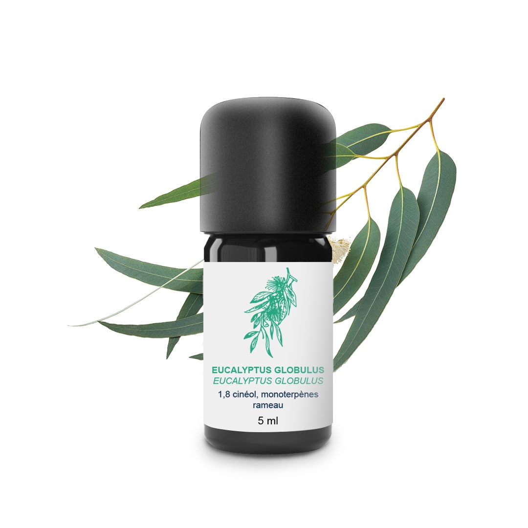 Olio essenziale di Eucalyptus globulus 100% biologico e artigianale