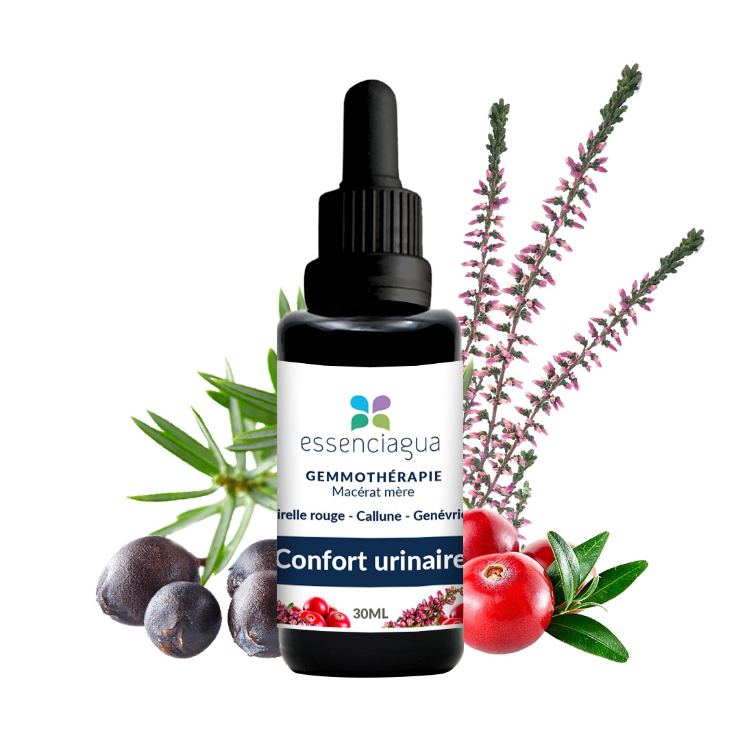 Complesso di gemme biologiche Comfort urinario 100% biologico e artigianale