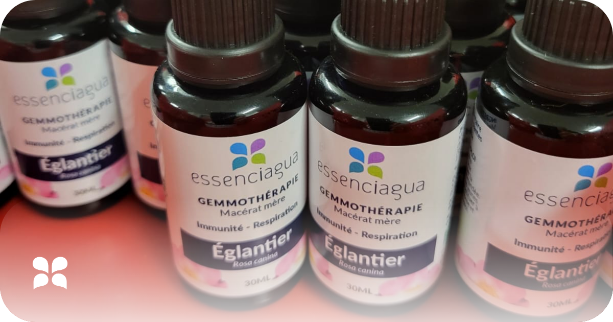 Gemmoterapia