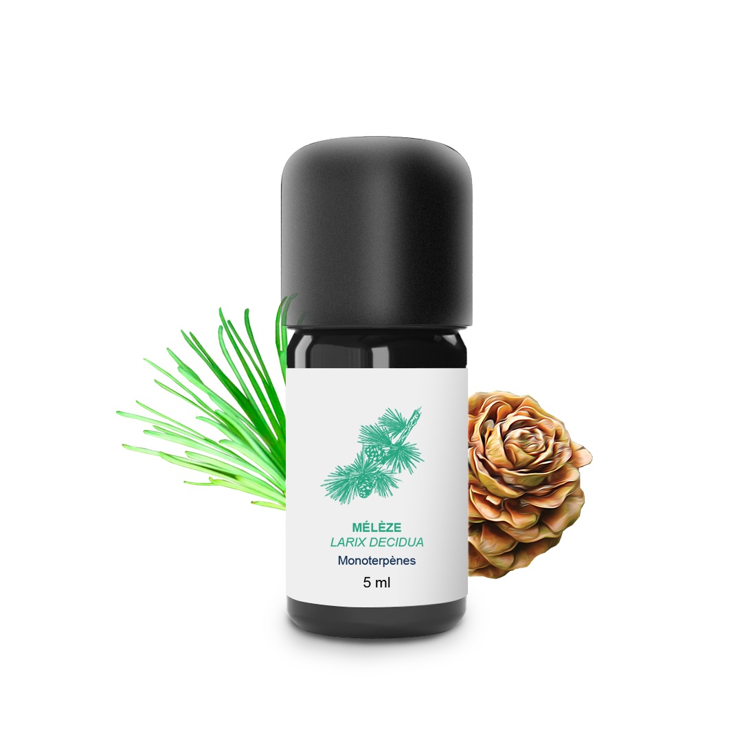 Olio essenziale di larice 100% biologico e artigianale