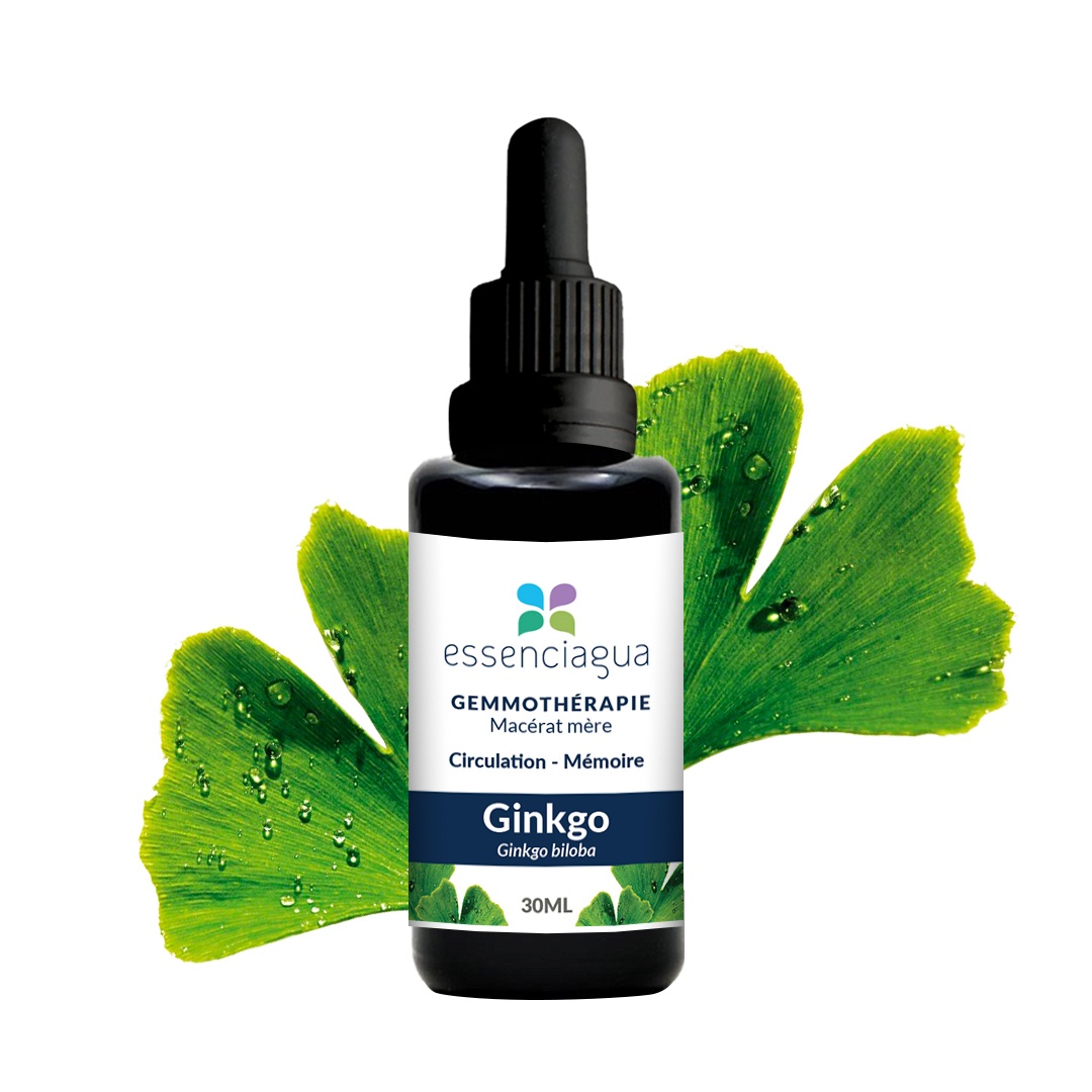 Macerato di gemme di ginkgo 100% biologico e artigianale