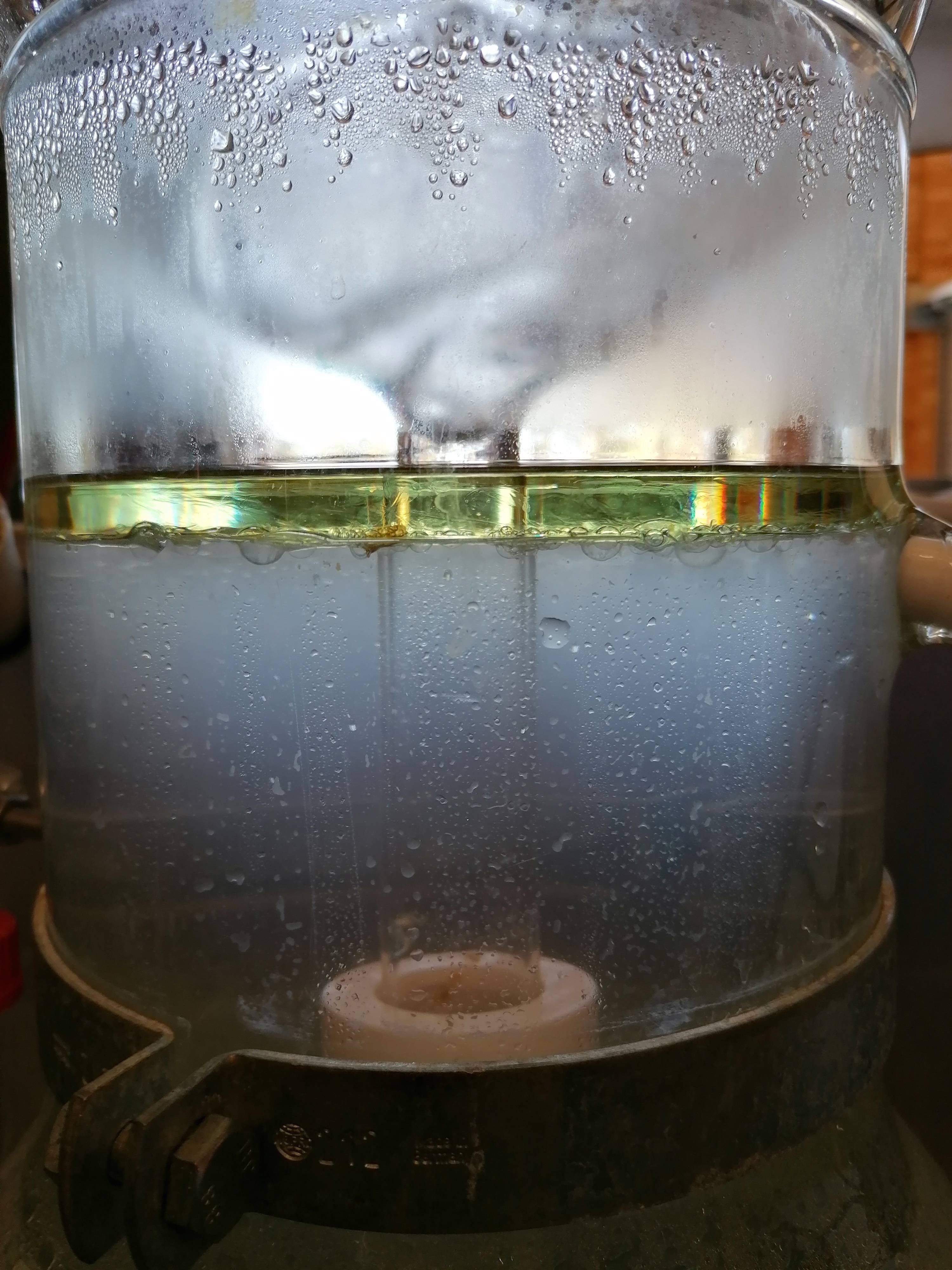 Decouvrez la distillation Idrolato di Cedro dell'Atlante 100% biologico e artigianale