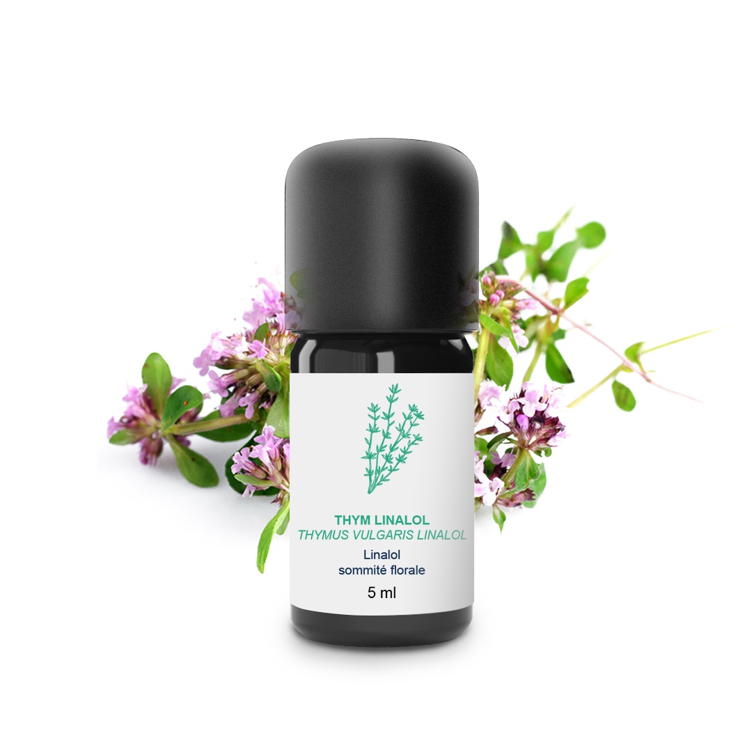 Olio essenziale di timo linalolo 100% biologico e artigianale