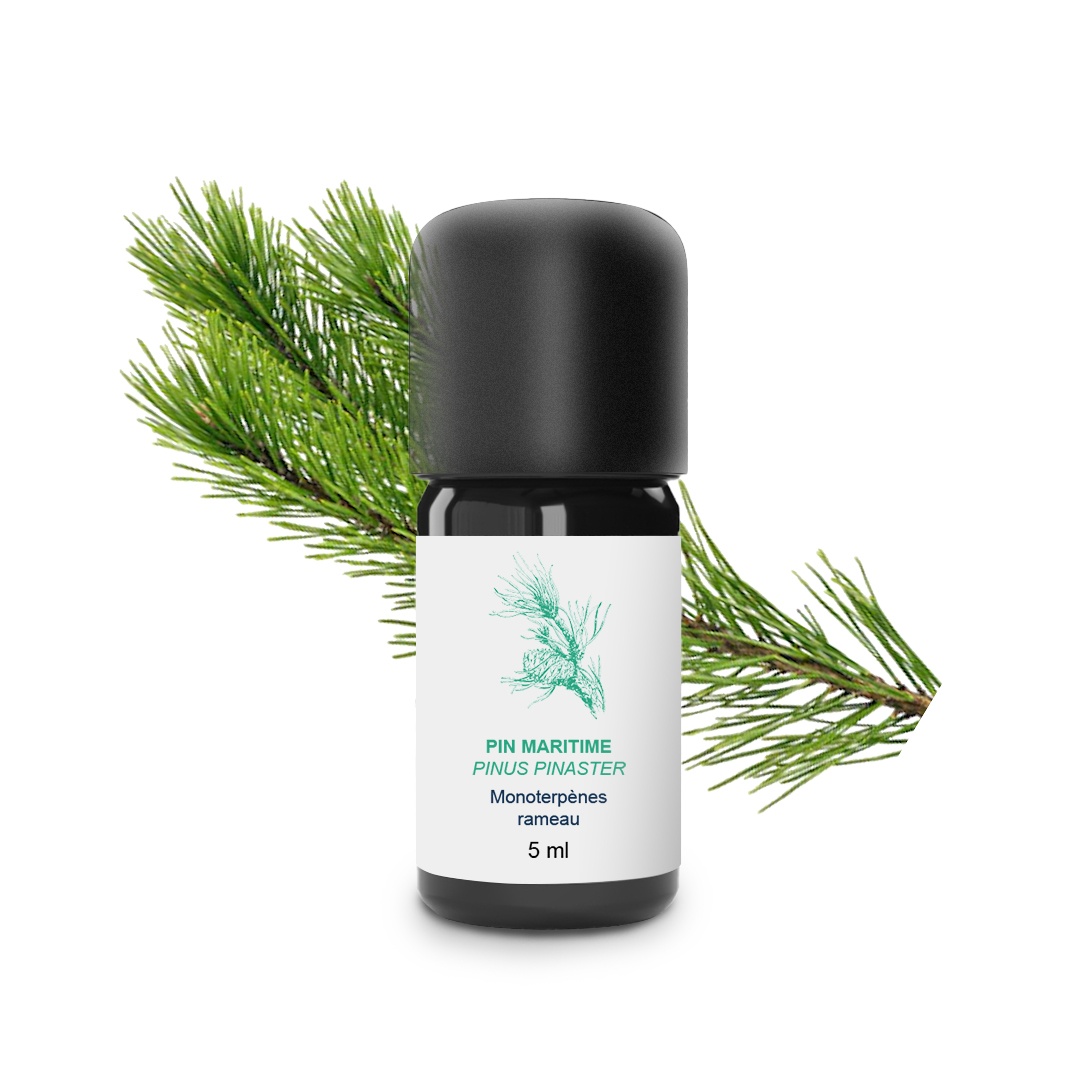 Olio essenziale di pino marittimo 100% biologico e artigianale