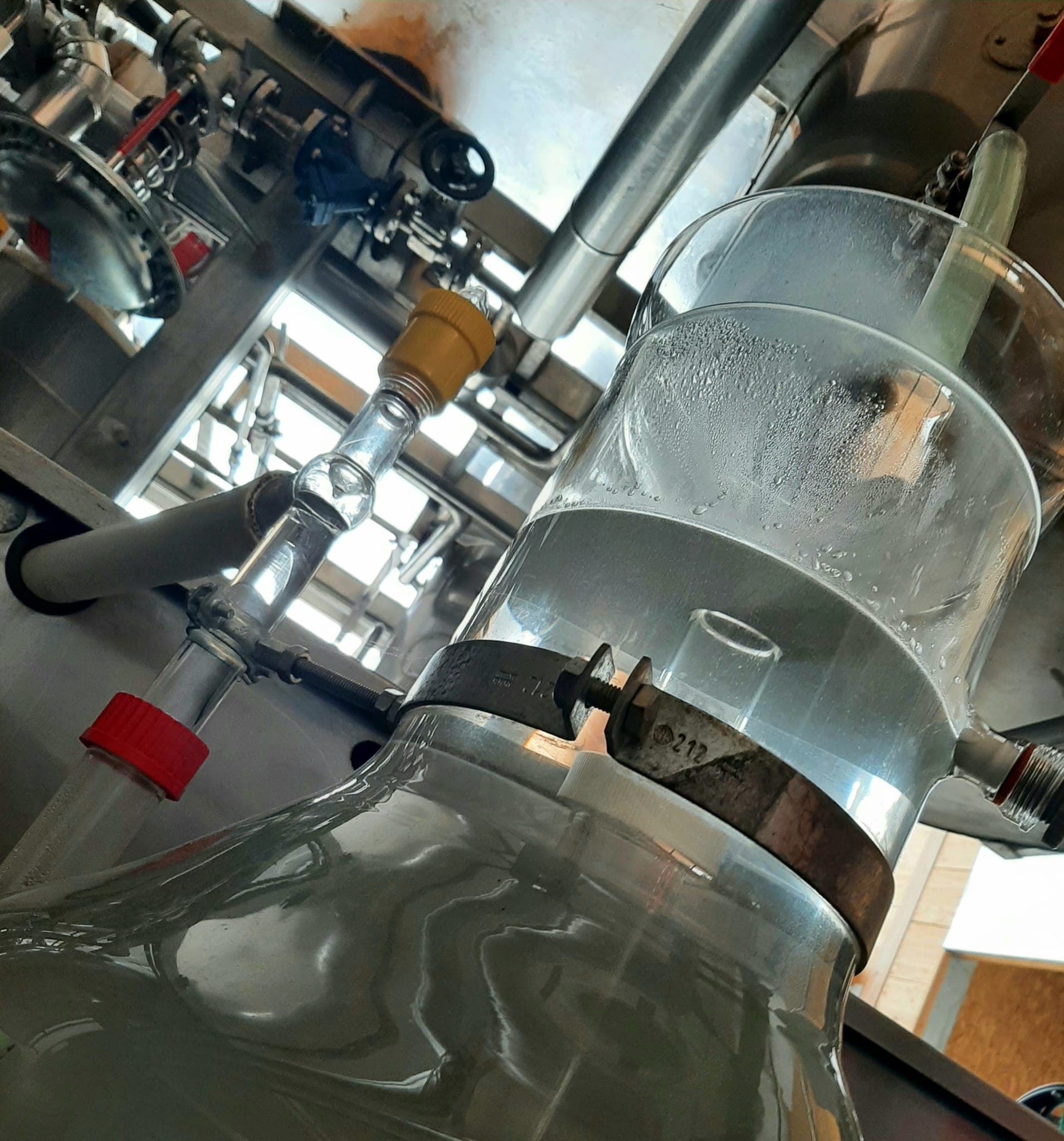 Decouvrez la distillation Idrolato di fiordaliso 100% biologico e artigianale