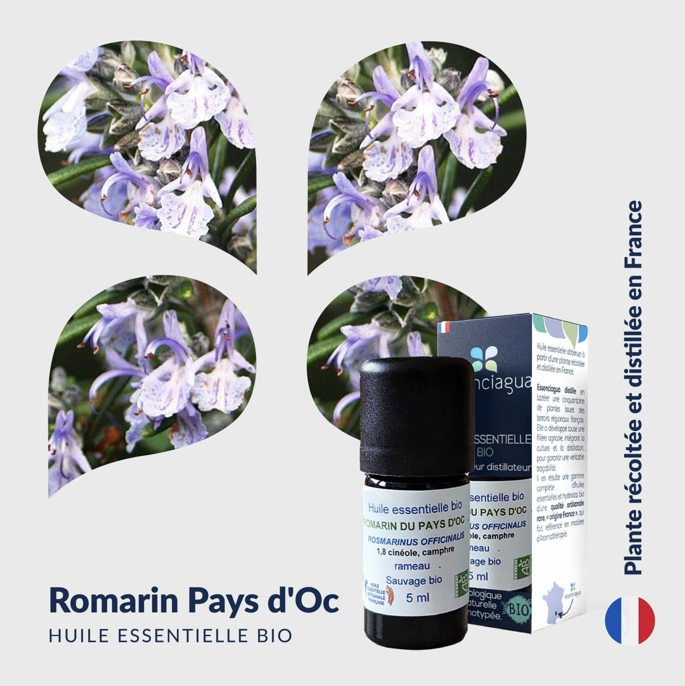Olio essenziale di rosmarino del Pays d'Oc