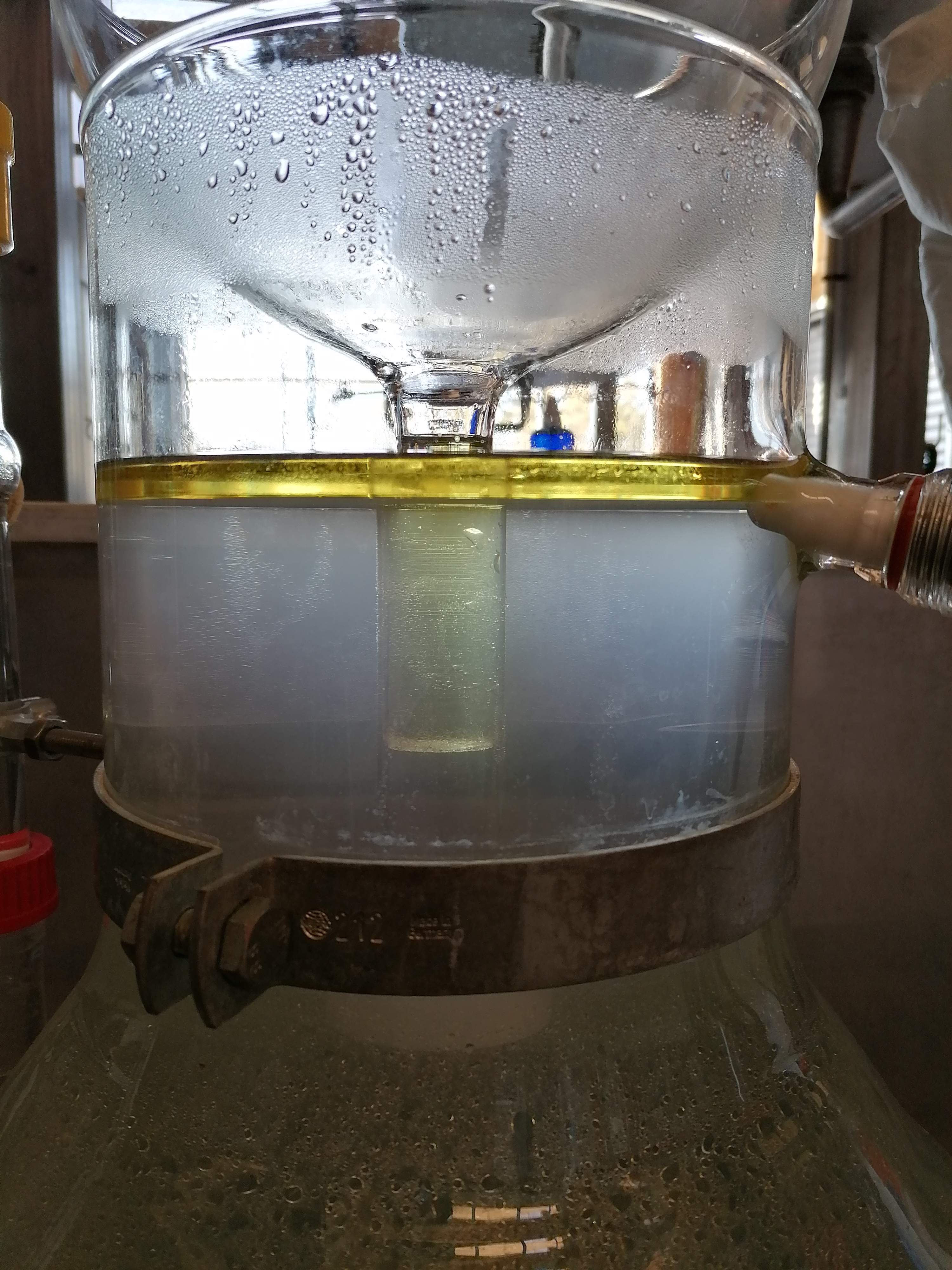 Decouvrez la distillation Olio essenziale di carota selvatica 100% biologico e artigianale