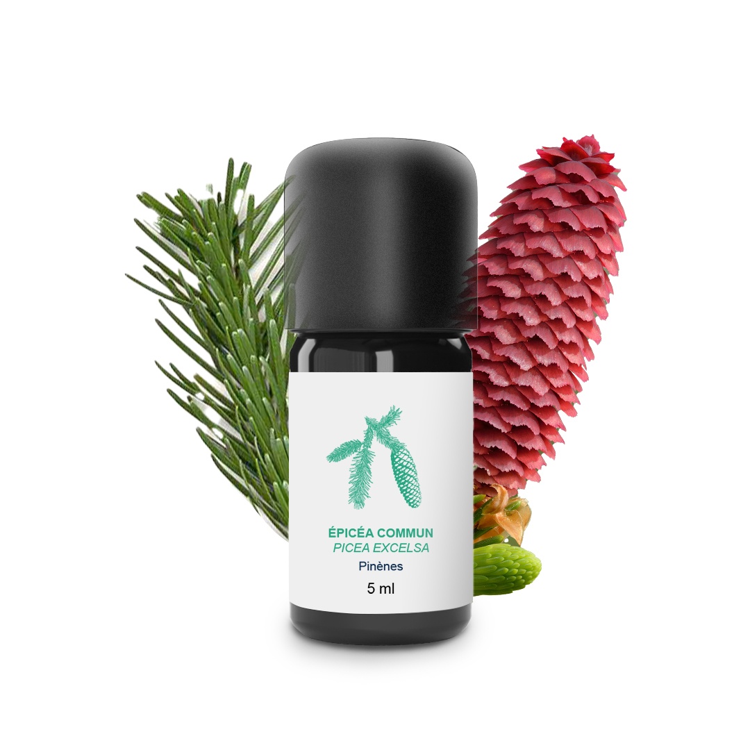 Olio essenziale di Epicea comune 100% biologico e artigianale