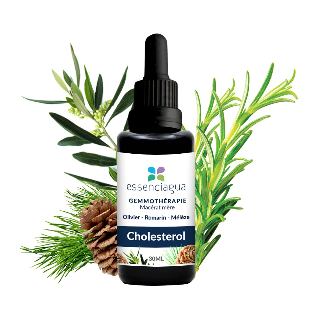 Colesterolo complesso di gemme biologico 100% biologico e artigianale