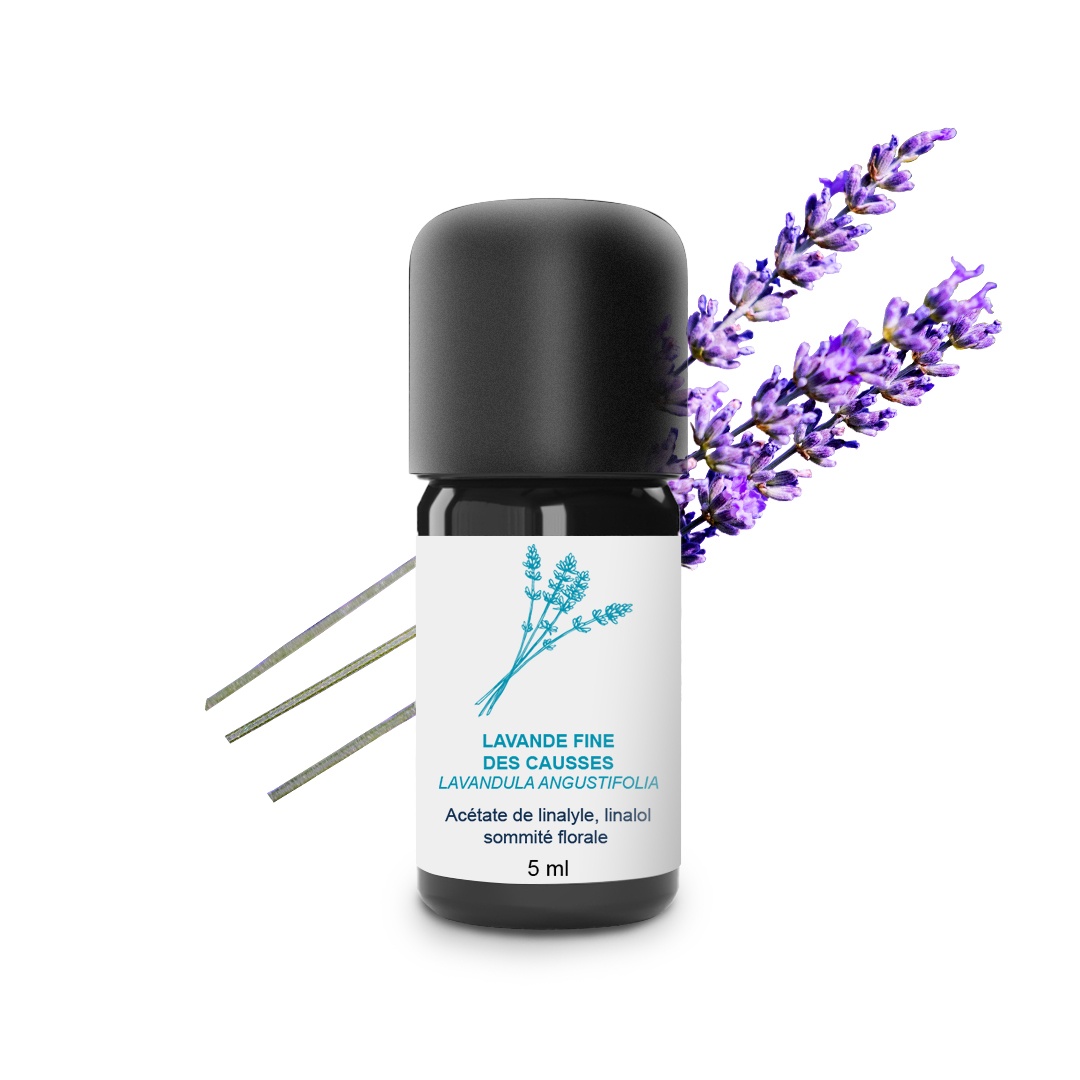 Olio essenziale di lavanda pregiata del Causses 100% biologico e artigianale