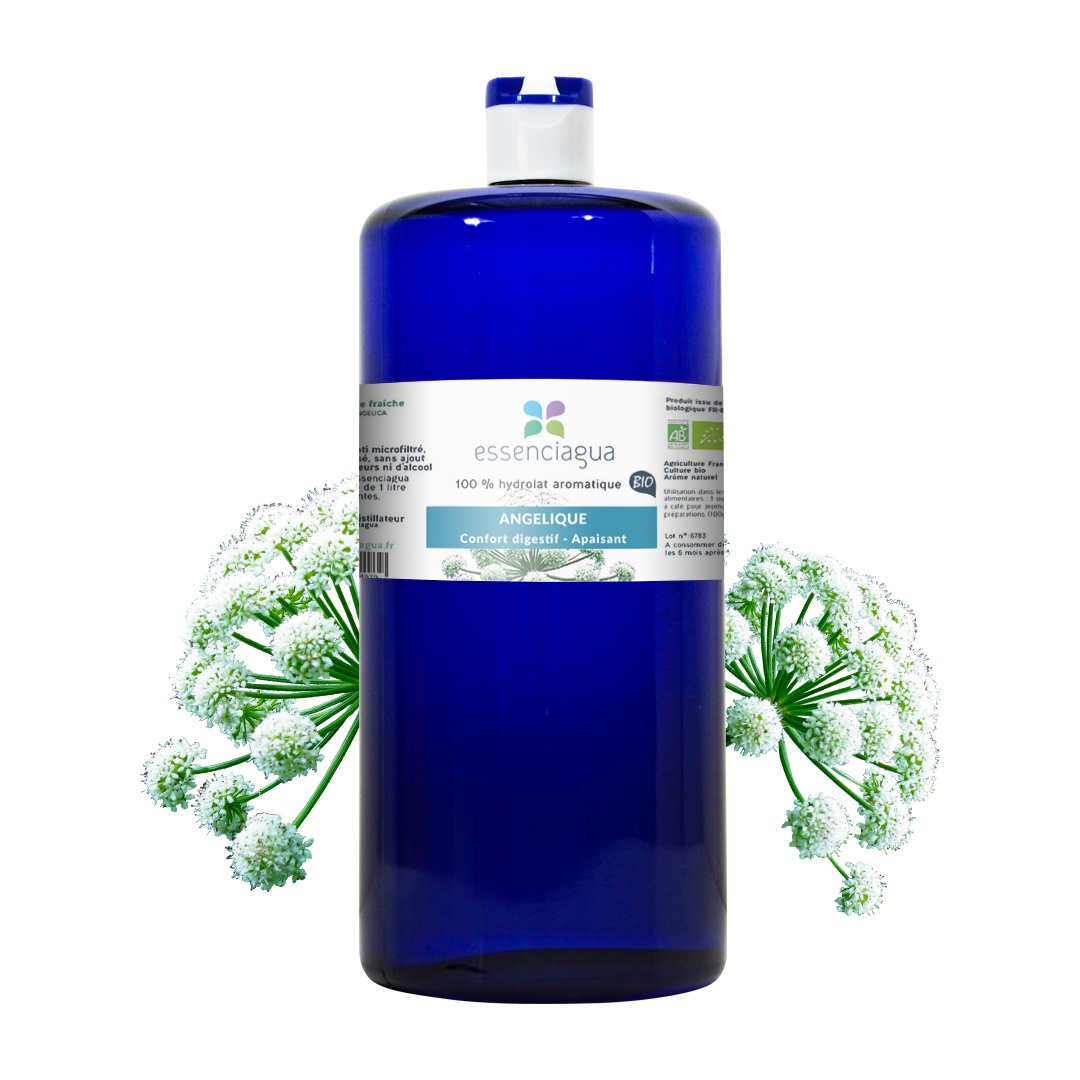 Idrolato di Angelica (radice) 100% biologico e artigianale — photo 3