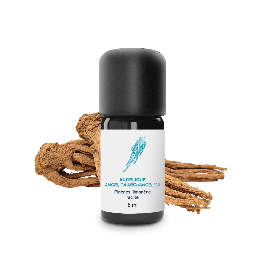 Olio essenziale di Angelica (radice) 100% biologico e artigianale