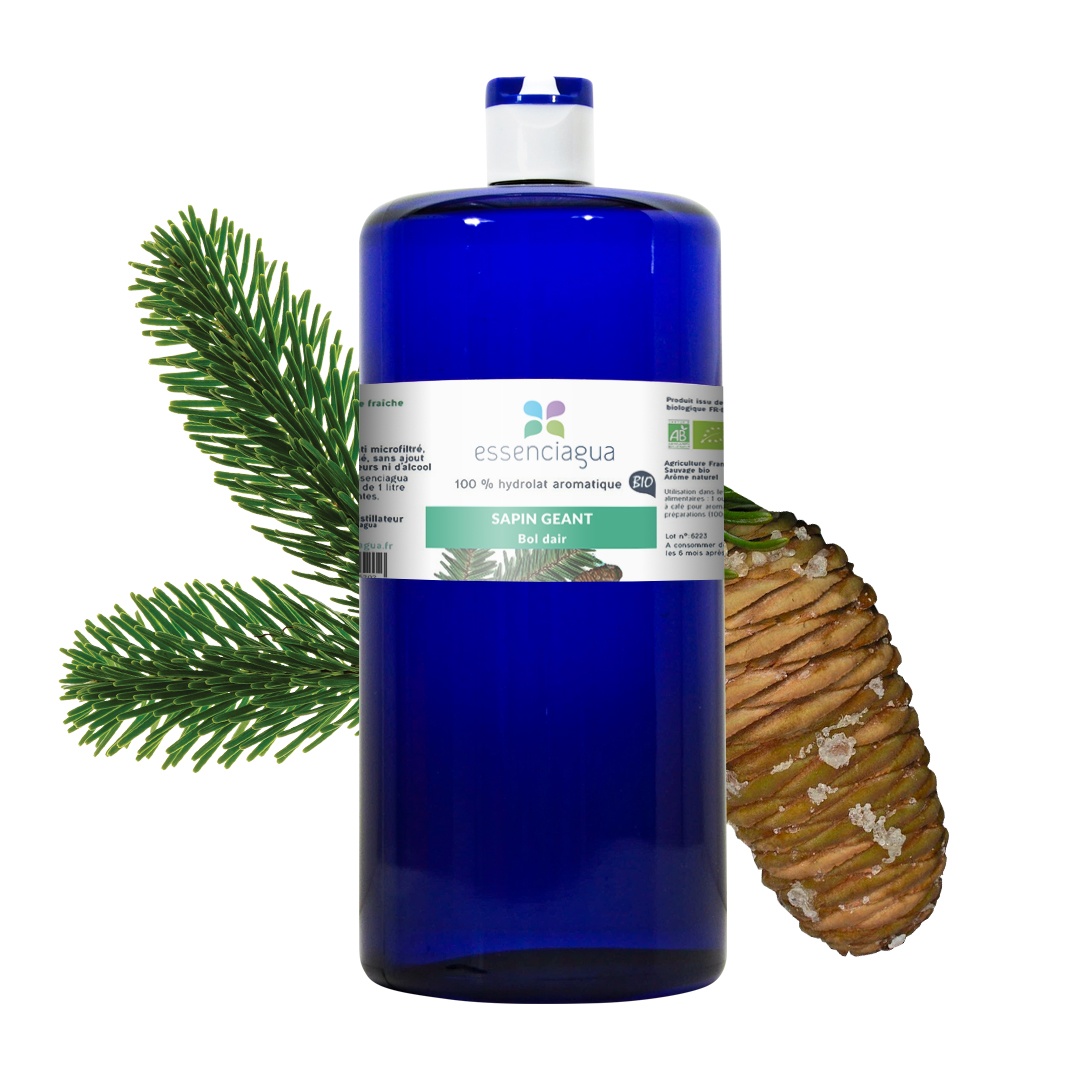 Idrolato di abete gigante 100% biologico e artigianale — photo 3