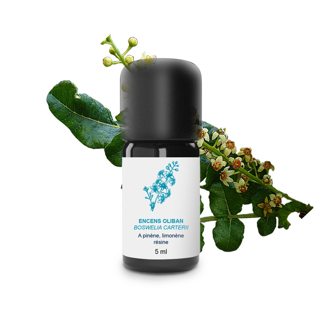 Olio essenziale di incenso Olibanum 100% biologico e artigianale