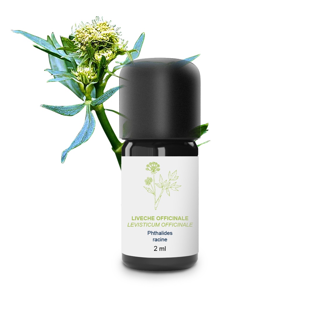 Olio essenziale di levistico (radice) 100% biologico e artigianale