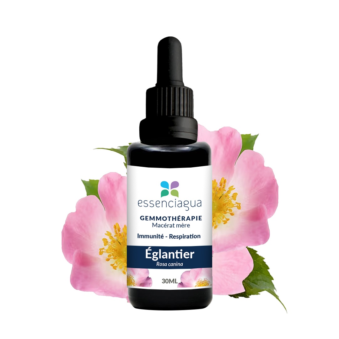 Macerato di gemme di rosa canina 100% biologico e artigianale