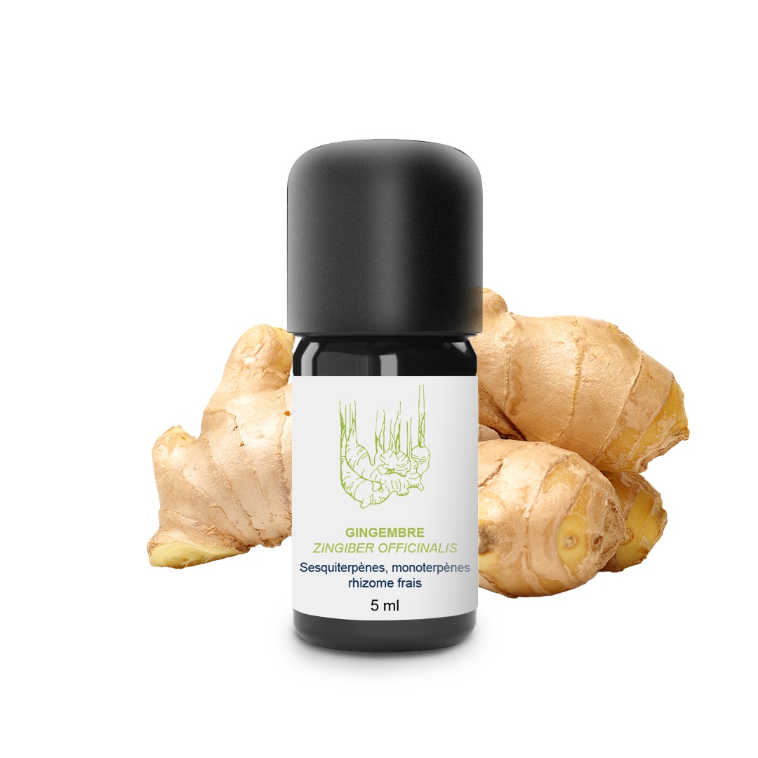 Olio essenziale di zenzero fresco 100% biologico e artigianale