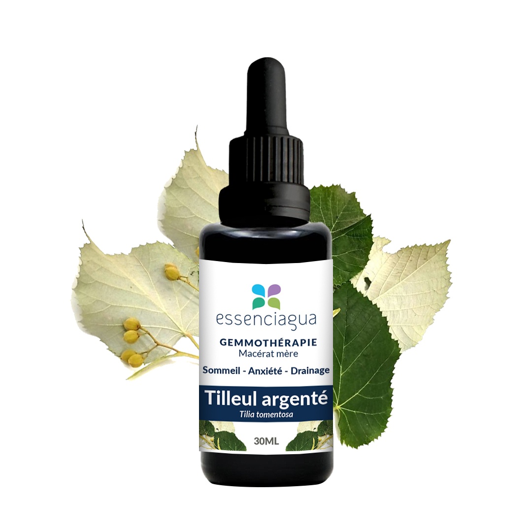 Macerato di gemme di tiglio argentato 100% biologico e artigianale